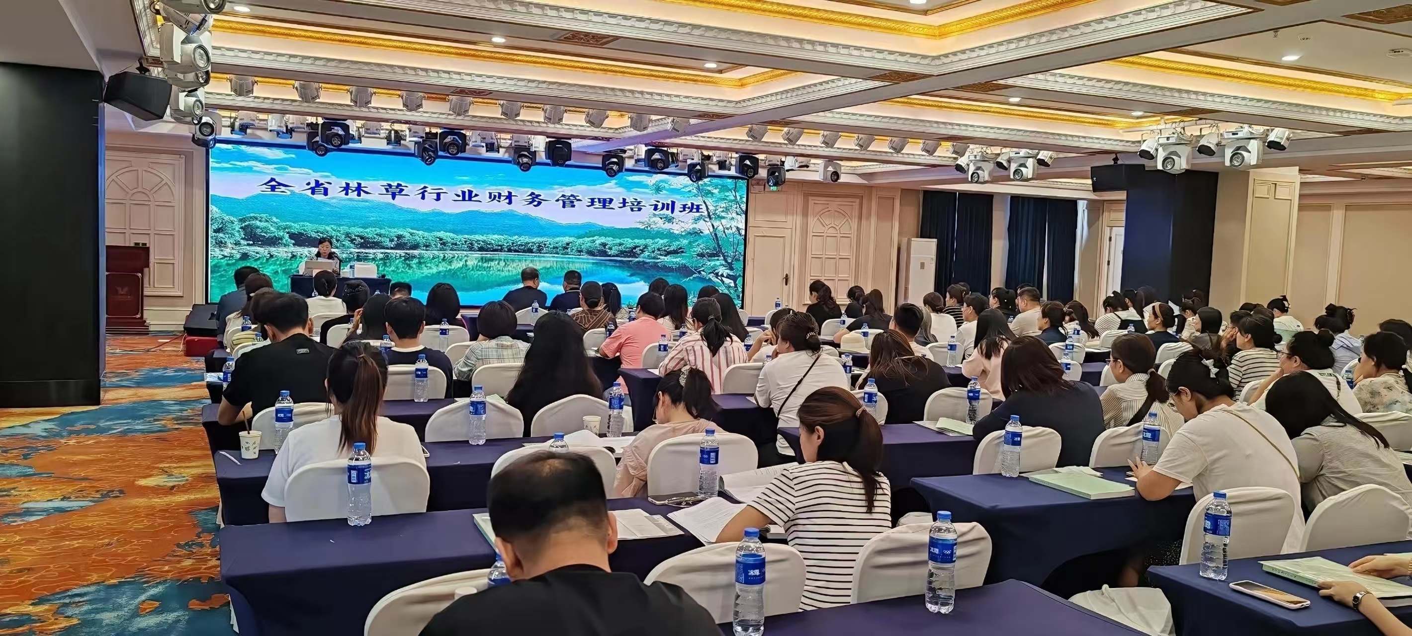 1755663339307978.jpg 7.jpg